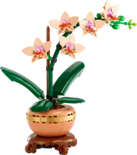LEGO 10343 Mała orchidea