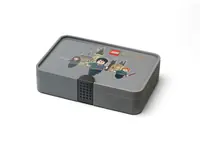 LEGO 5007887 Sorting Box with Harry Potter Print